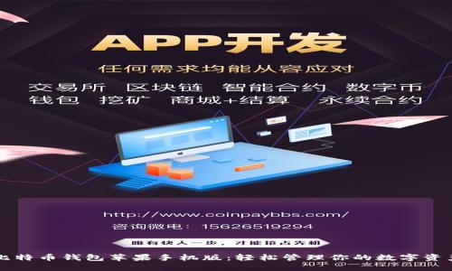 比特币钱包苹果手机版：轻松管理你的数字资产